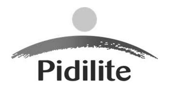 pidilite